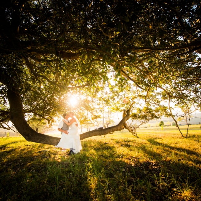 Matt Jorgensen Photography Wedding and Surf Photography