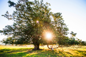 Matts-favourite-wedding-photos - Matt Jorgensen Photography